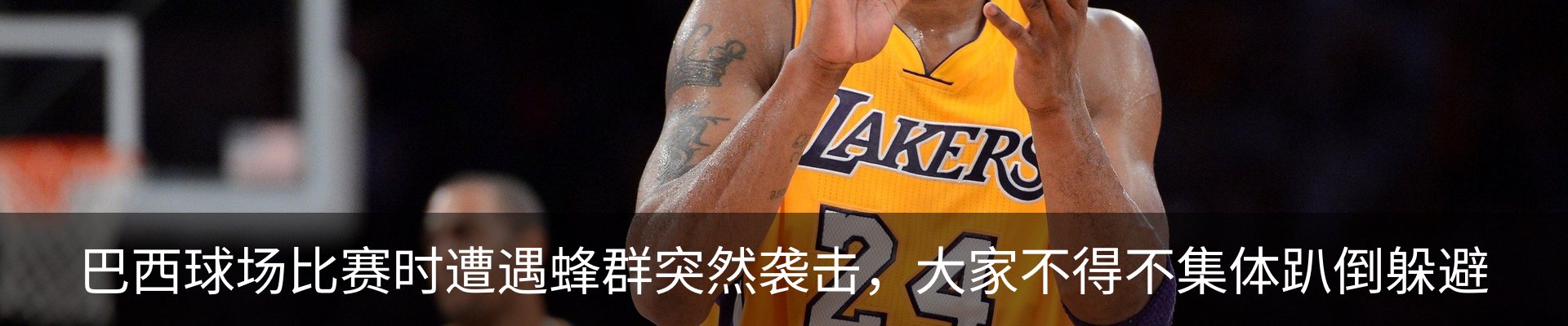 内页banner